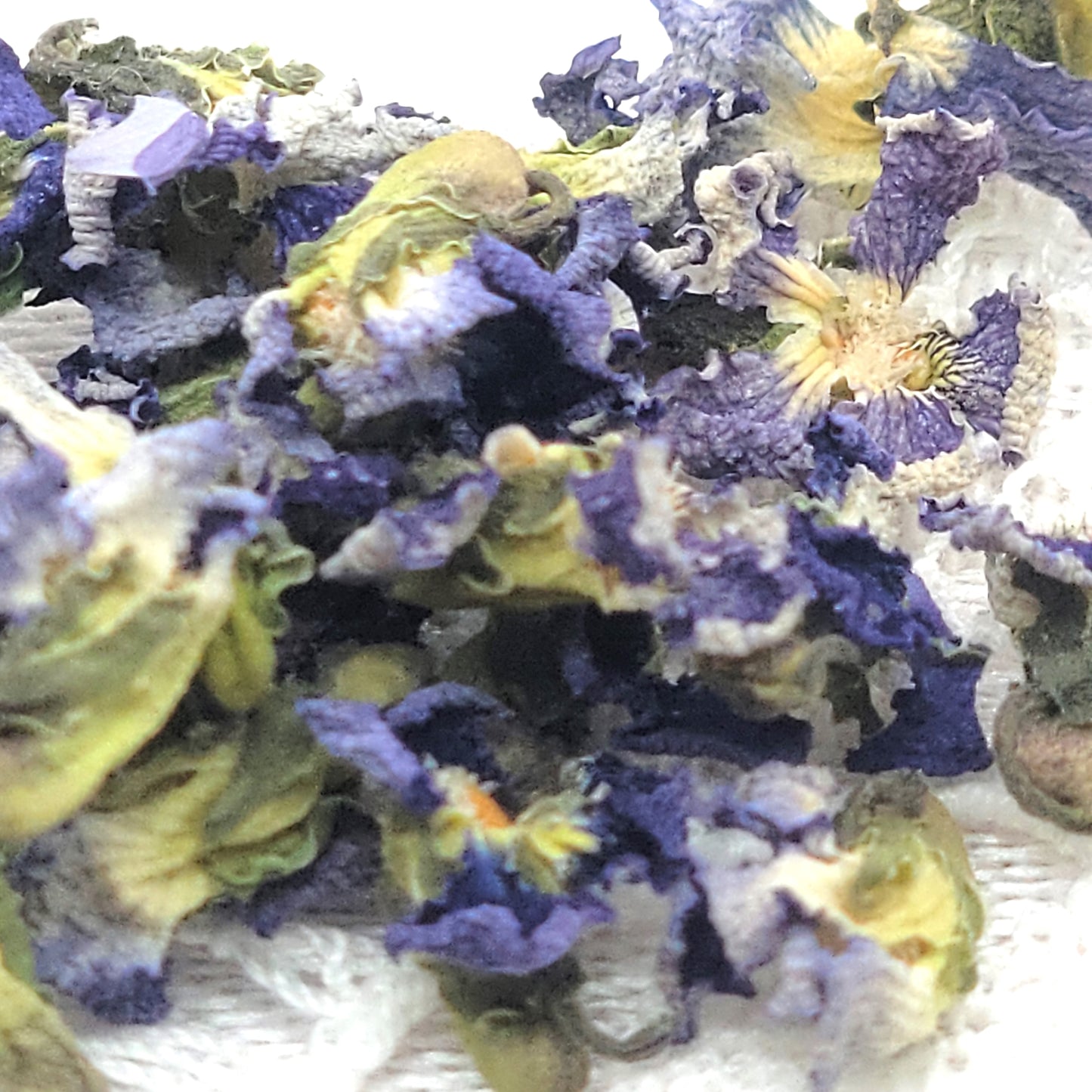 1526 Oyle of Violettes