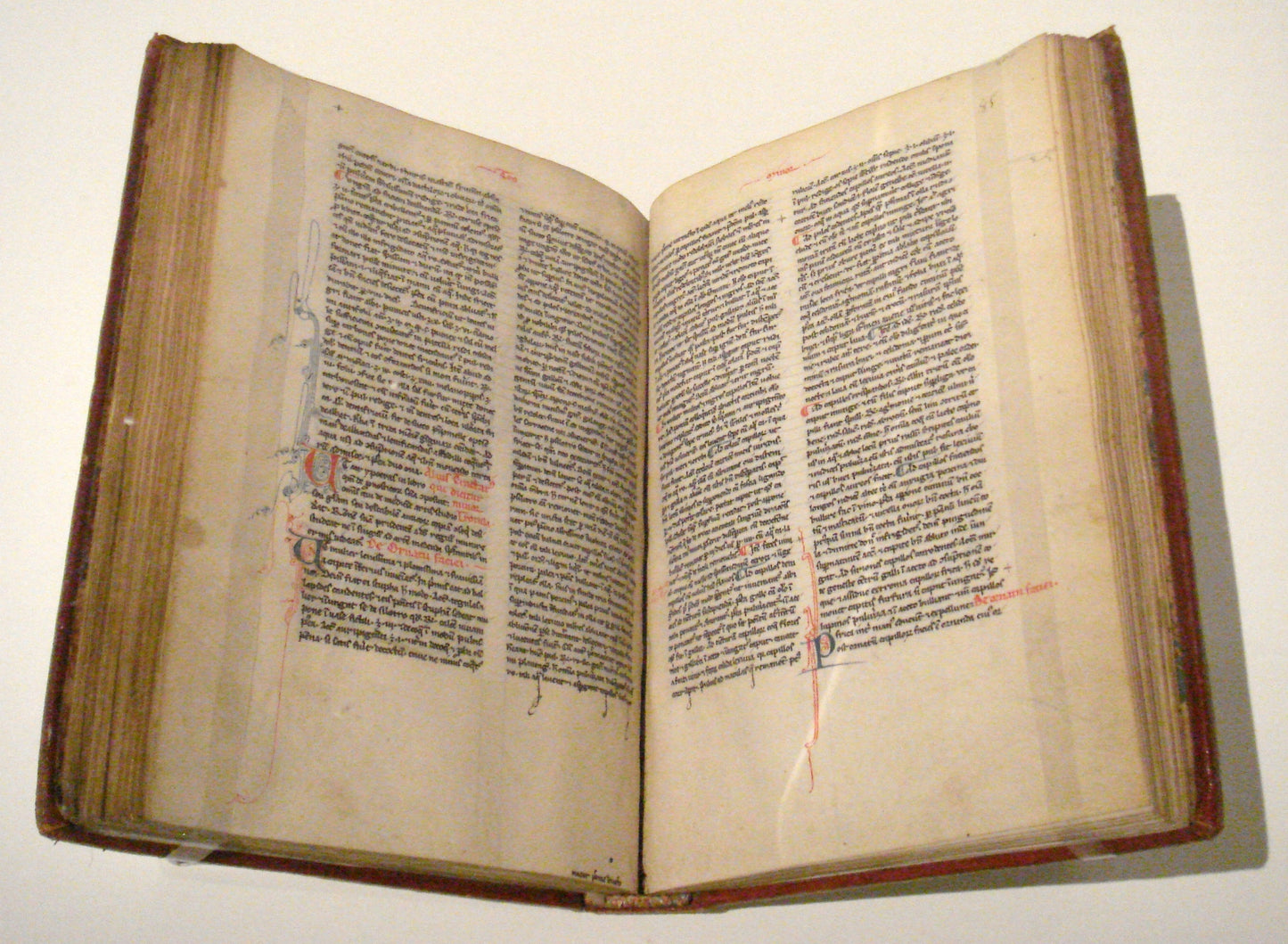 12th Century Balm