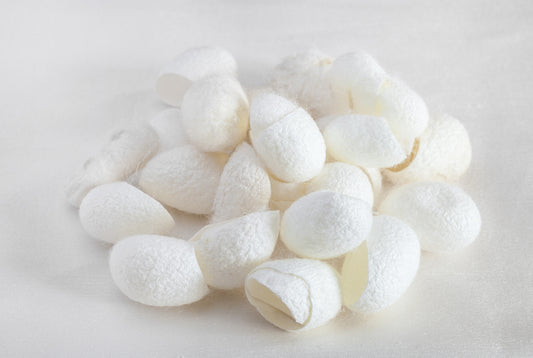 Silk Cocoon Exfoliator