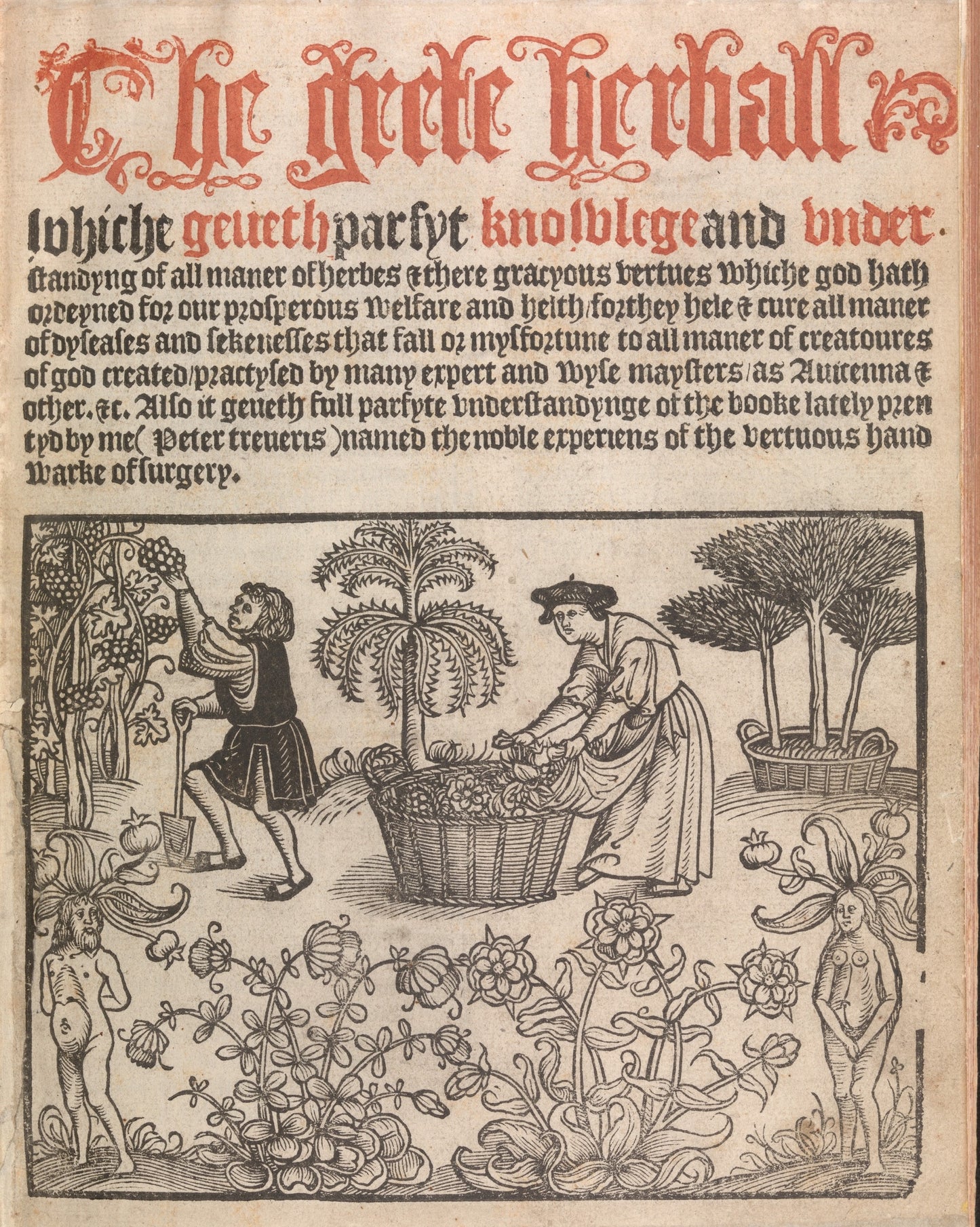 1526 Oyle of Violettes