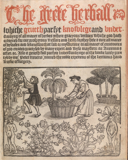 1526 Oyle of Violettes